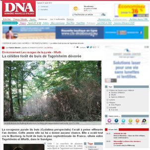 Pour accéder à l'article sur le site des DNA, cliquer dessus. vignette écran DNA Web
