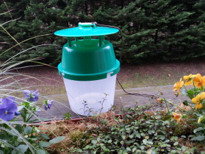 20141122_151604[1]