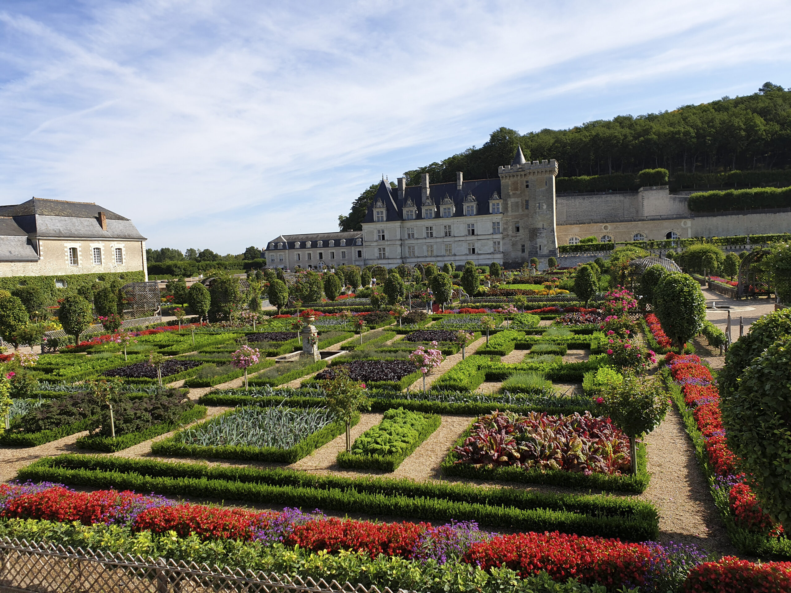 Jardins du château de Villandry bordés de buis