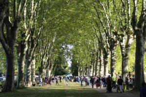 Fête des plantes Schoppenwihr 4 5 mai