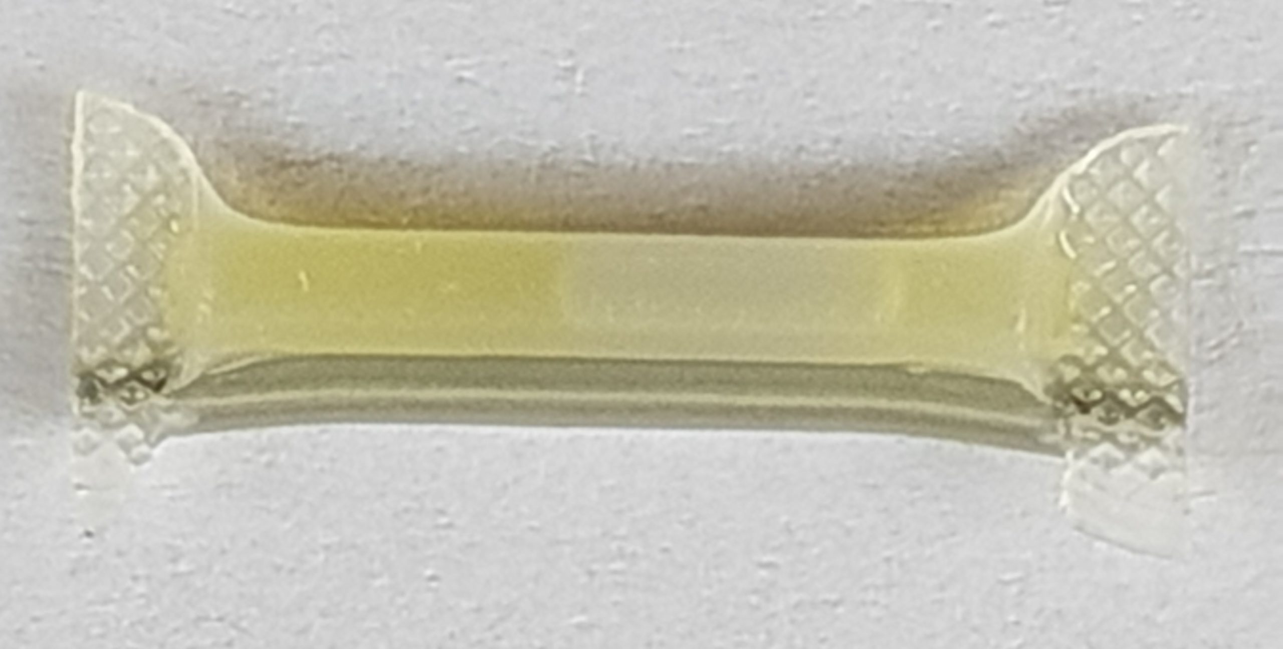 GINKOBuxus-fab-juin-2019