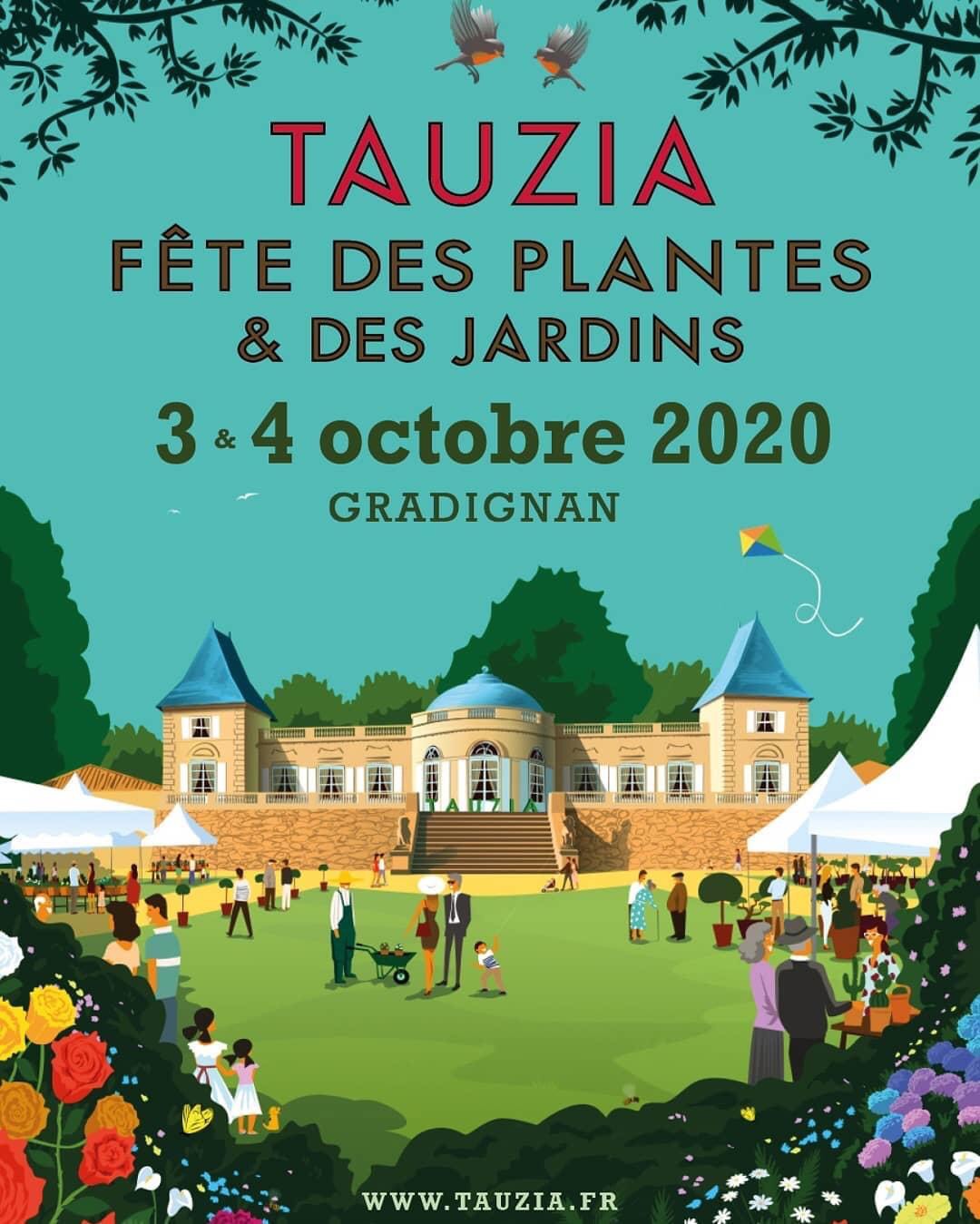 TAUZIA automne 2020