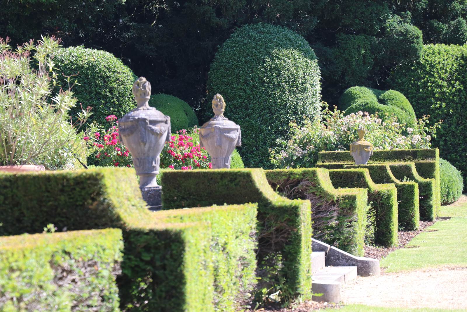 Les buis du château de Hex en Belgique