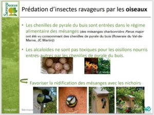 Mésanges INRAe