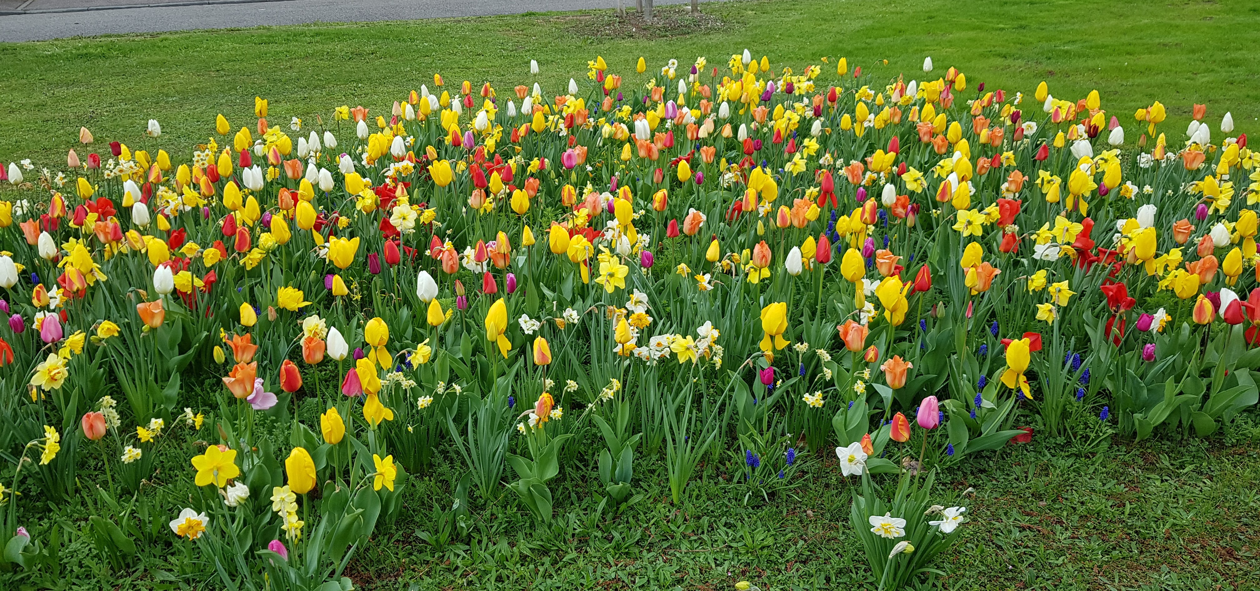 https://rruohbgifjuunrosaizd.supabase.co/storage/v1/object/public/medias/woo/Photo-CM-Boecklin-14-04-19.jpg