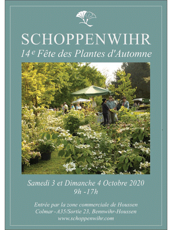 Schoppenwihr automne 2020