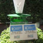 Pyrale du buis produit Ginko