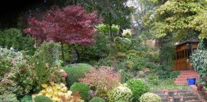 jardinduclosdescedres.org automne1